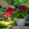 Zraszacz transparentny FLORA 550ml czerwony